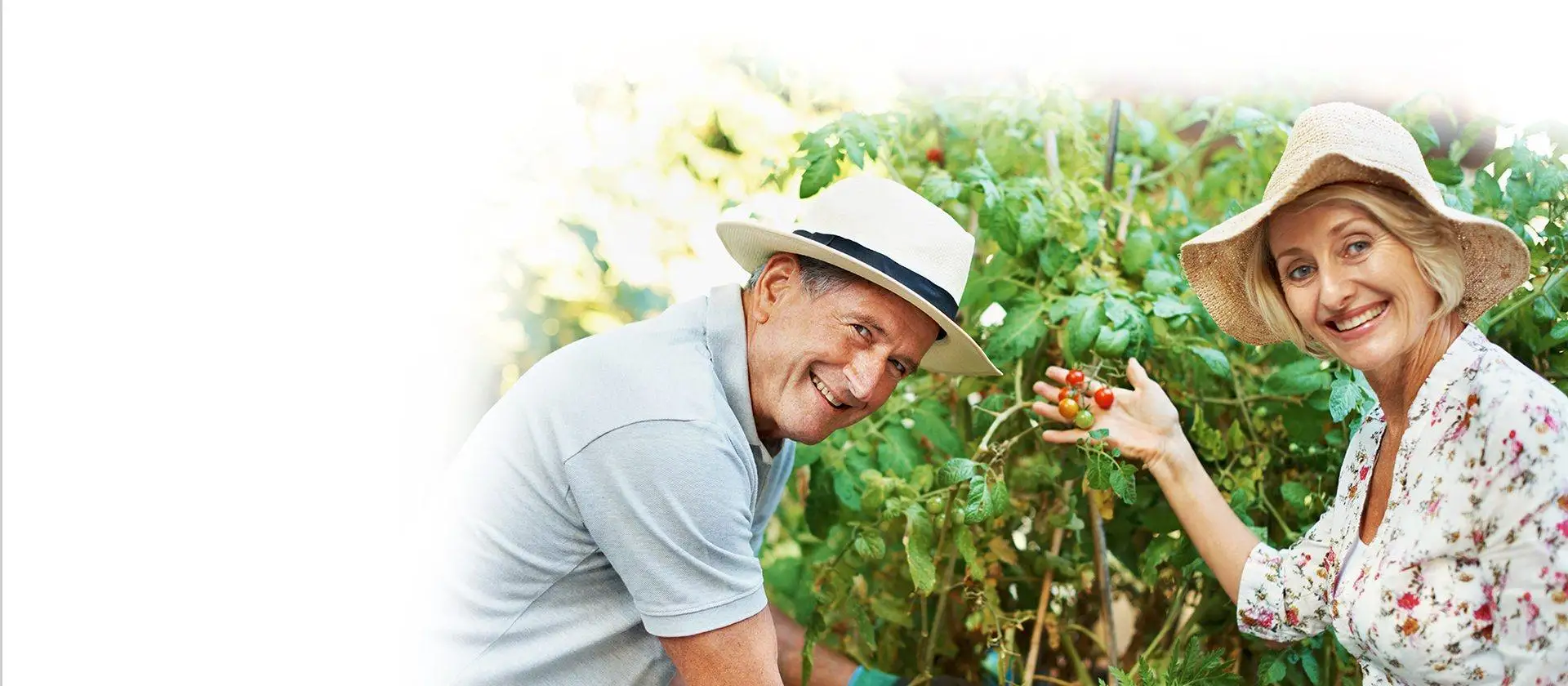 Louisiana Dental Center - Covington